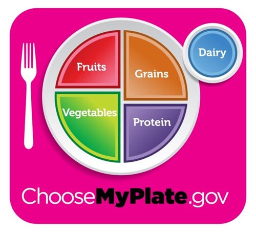 MYPLATE pk